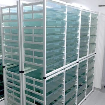 Medical Storage Rack Extra Wide Double Width W1035 x D430 x H1035 (STOR1035EW)